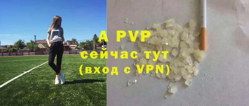 A-PVP СК КРИС  Ишим 